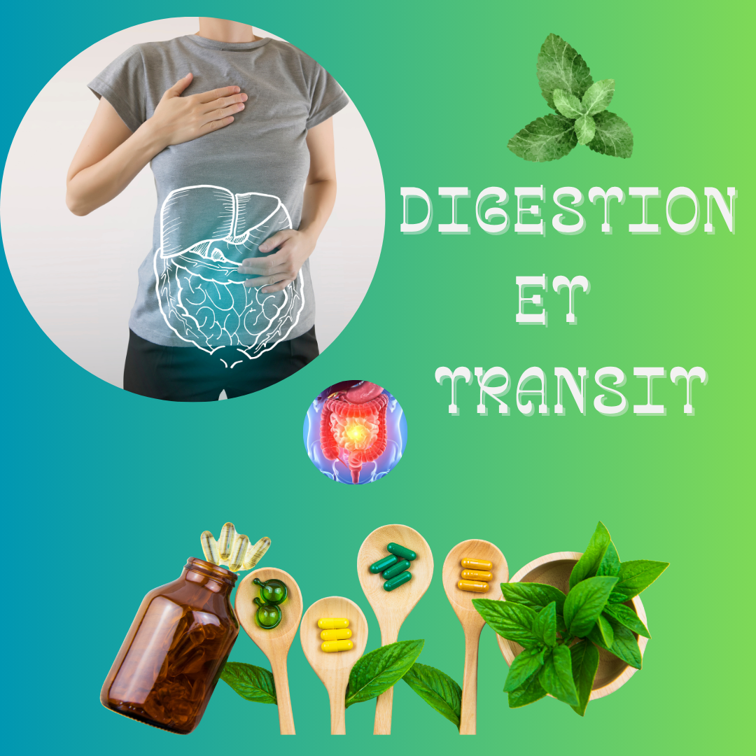 DIGESTION ET TRANSIT
