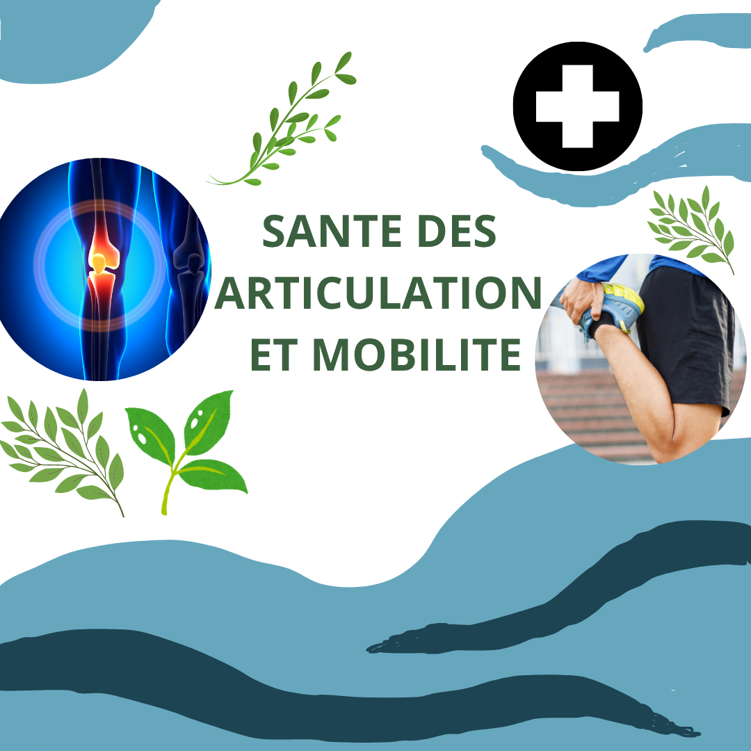 SANTE DES ARTICULATION ET MOBILITE
